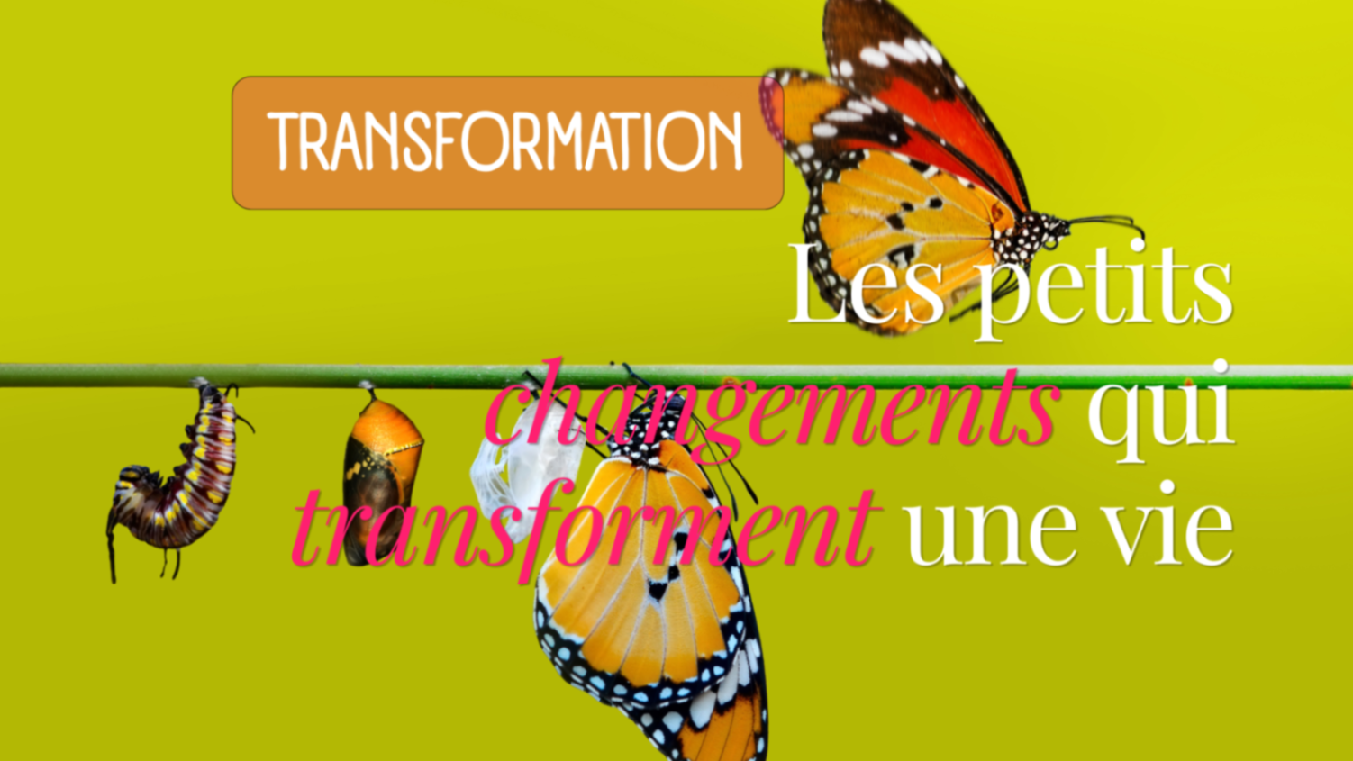 Les petits changements qui transforment une vie